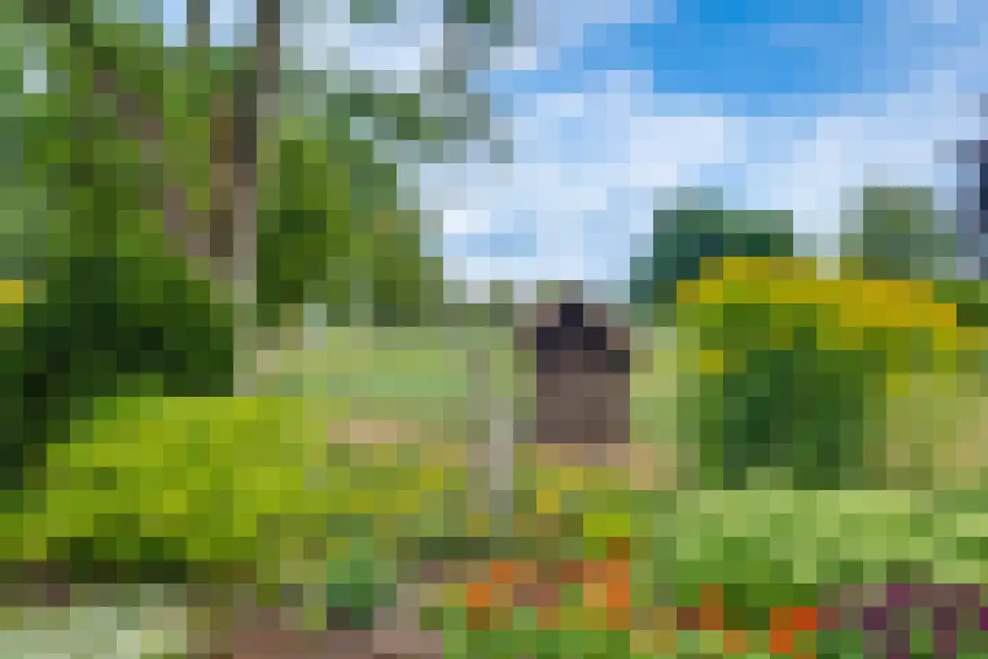Bosheurneweg 4 Barchem thumbnail 46
