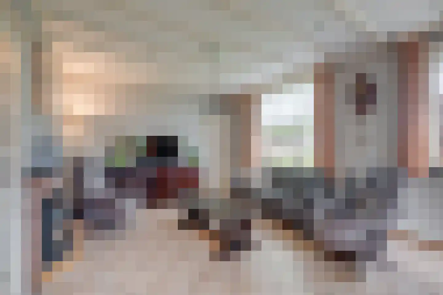 Bosheurneweg 4 Barchem thumbnail 7