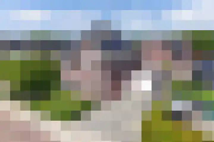 Boshoek 11 Bant thumbnail 10