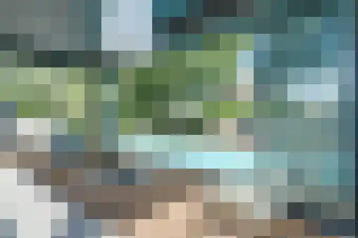 Boshoek 11 Bant thumbnail 11