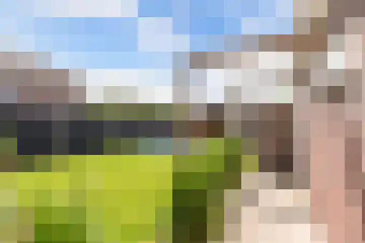 Boshoek 11 Bant thumbnail 43