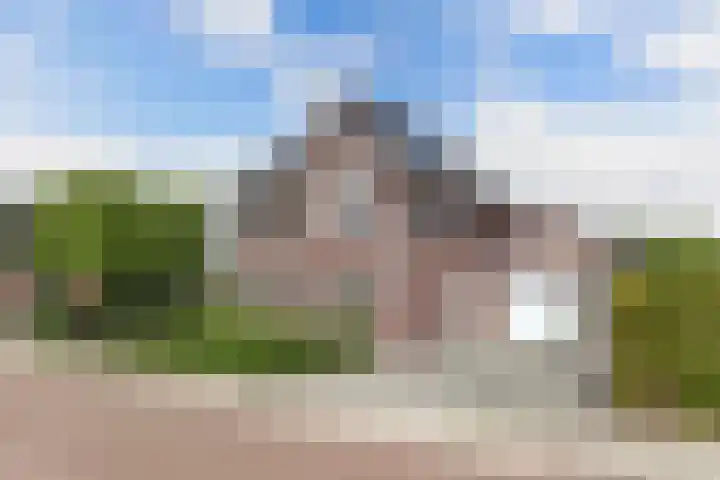Boshoek 11 Bant thumbnail 5