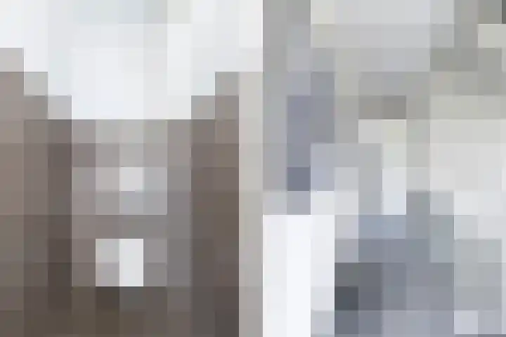 Boshoek 11 Bant thumbnail 59