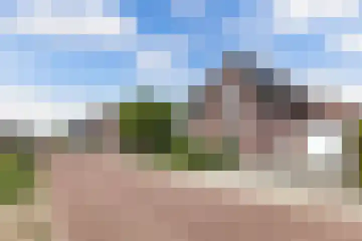 Boshoek 11 Bant thumbnail 6