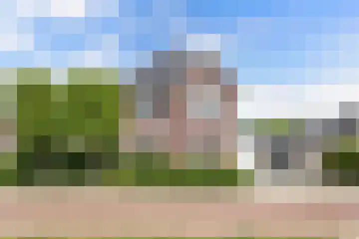 Boshoek 11 Bant thumbnail 7
