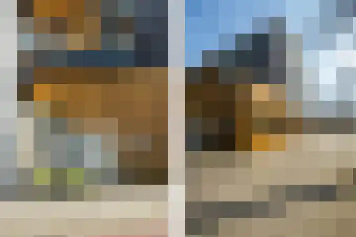 Boshoek 11 Bant thumbnail 71