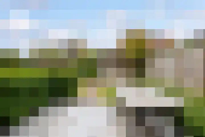 Boshoek 20 Achterveld thumbnail 25