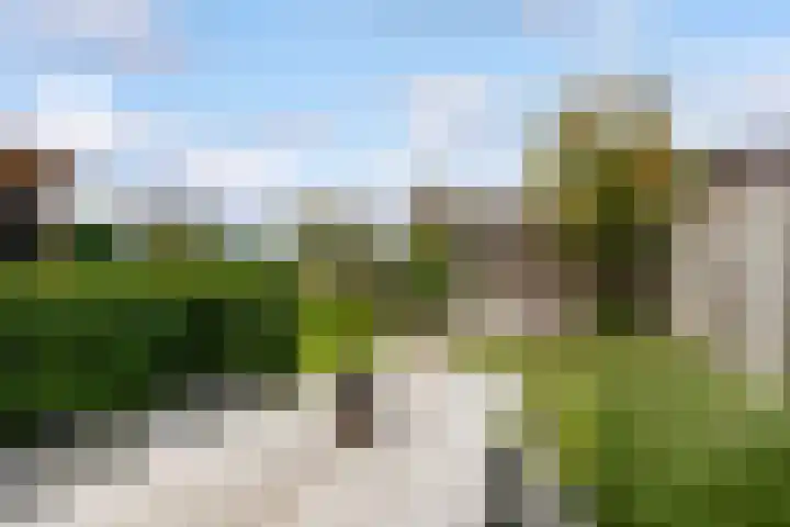 Boshoek 20 Achterveld thumbnail 26