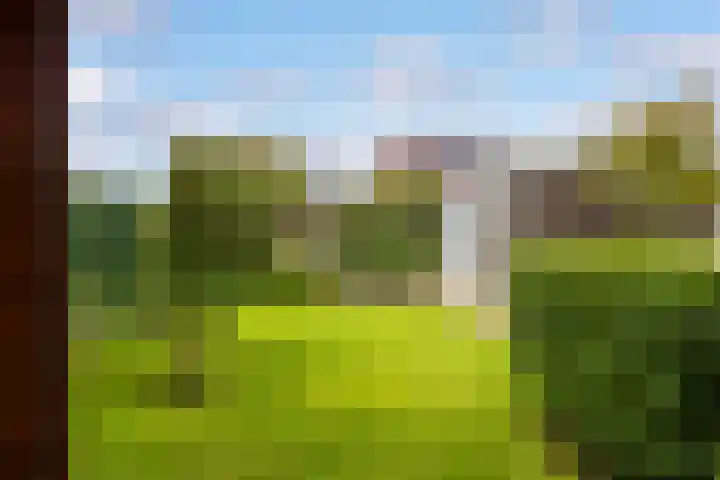 Boshoek 20 Achterveld thumbnail 27