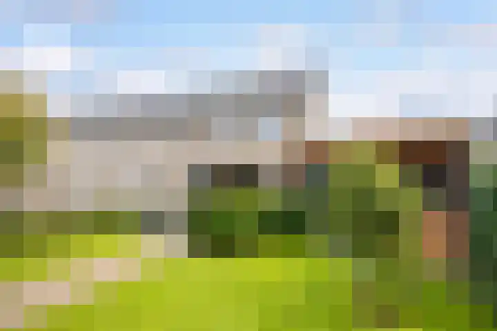 Boshoek 20 Achterveld thumbnail 28