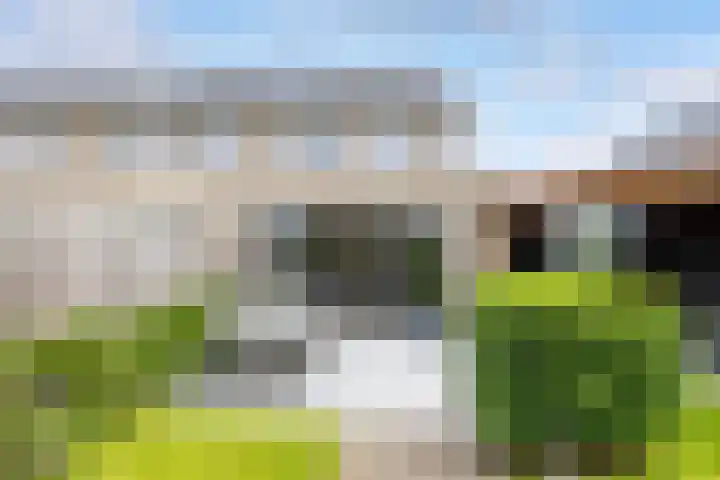 Boshoek 20 Achterveld thumbnail 30
