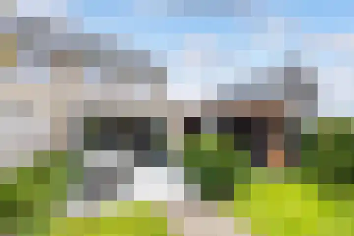Boshoek 20 Achterveld thumbnail 31