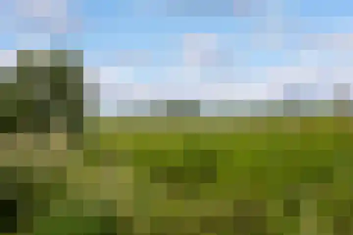Boshoek 20 Achterveld thumbnail 38