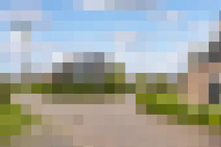Boshoek 20 Achterveld thumbnail 39