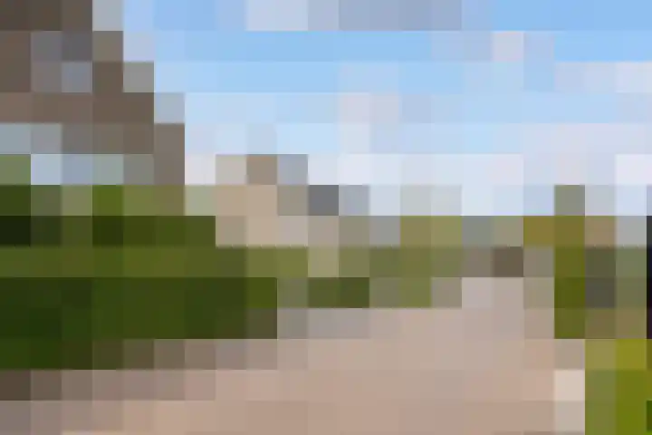 Boshoek 20 Achterveld thumbnail 40