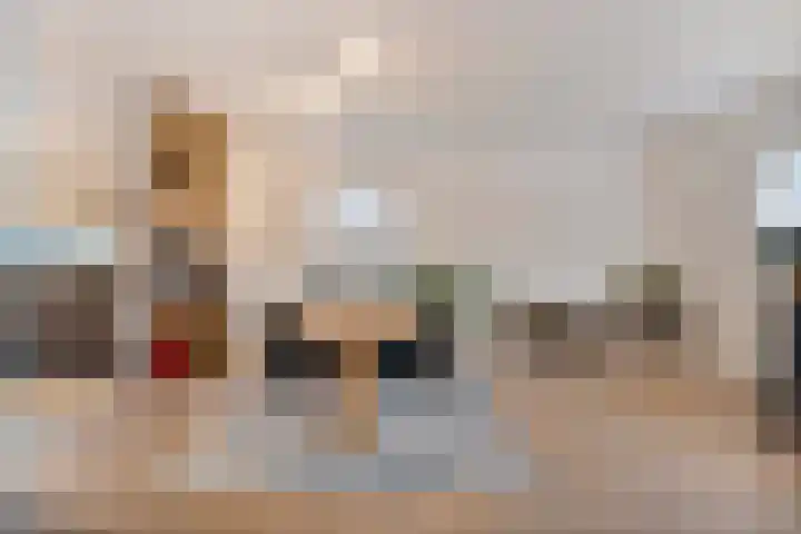 Boshoek 23 Vroomshoop thumbnail 13