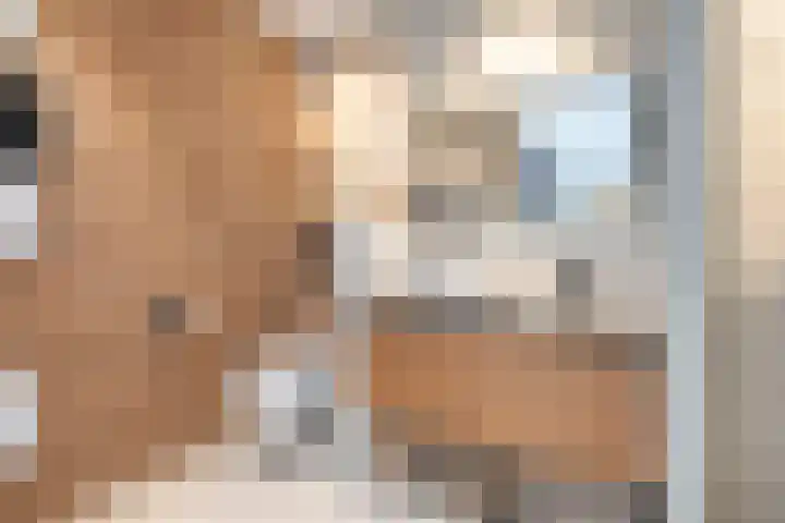 Boshoek 23 Vroomshoop thumbnail 22