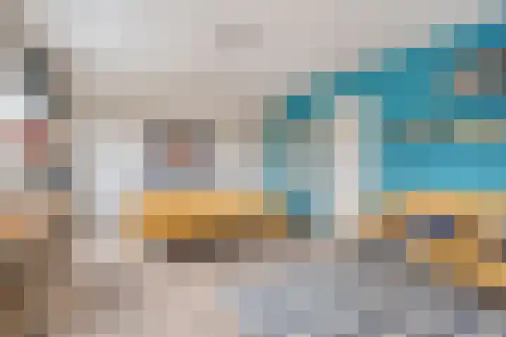 Boshoek 23 Vroomshoop thumbnail 26