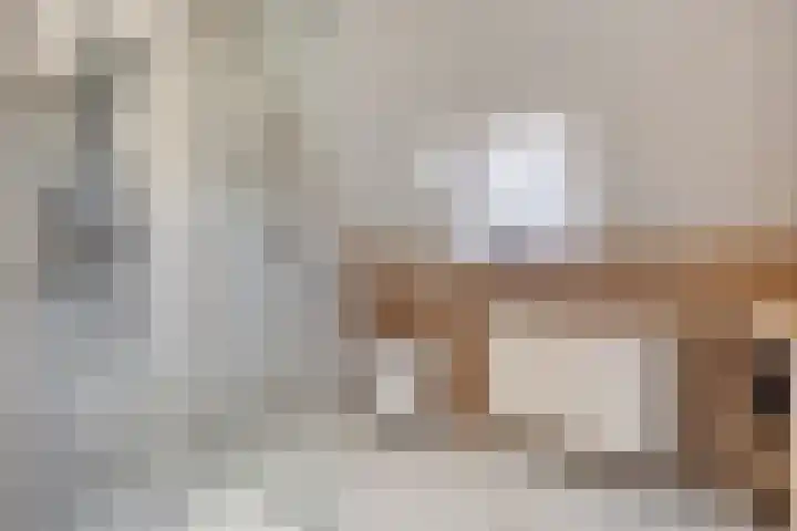 Boshoek 23 Vroomshoop thumbnail 29