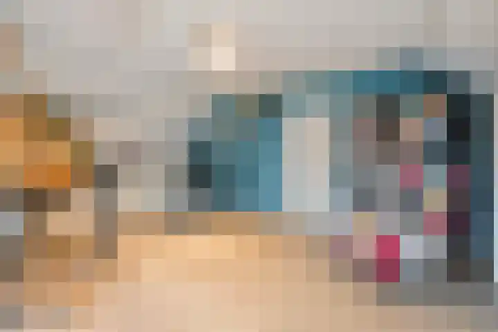 Boshoek 23 Vroomshoop thumbnail 33