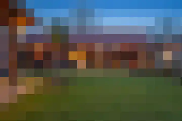 Boshoek 23 Vroomshoop thumbnail 39