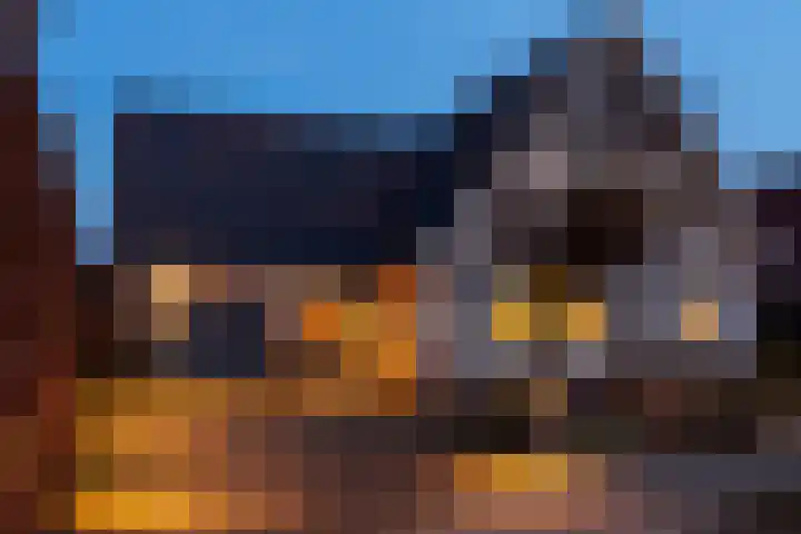 Boshoek 23 Vroomshoop thumbnail 4
