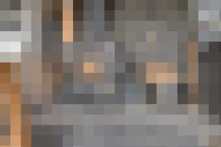 Boshoek 23 Vroomshoop thumbnail 48
