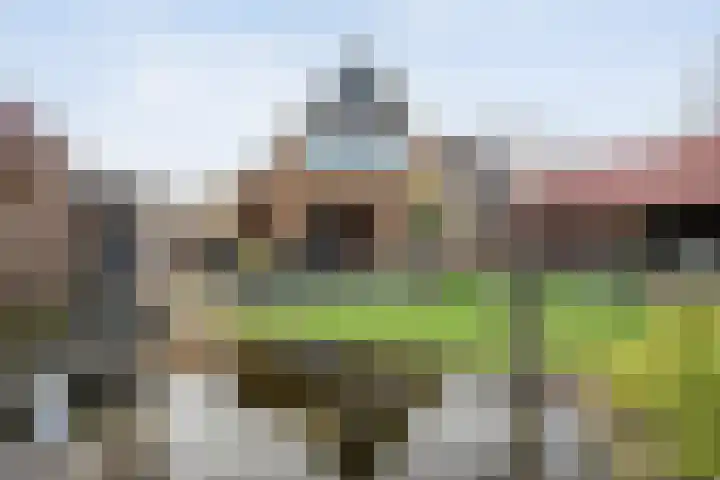 Boshoek 23 Vroomshoop thumbnail 52