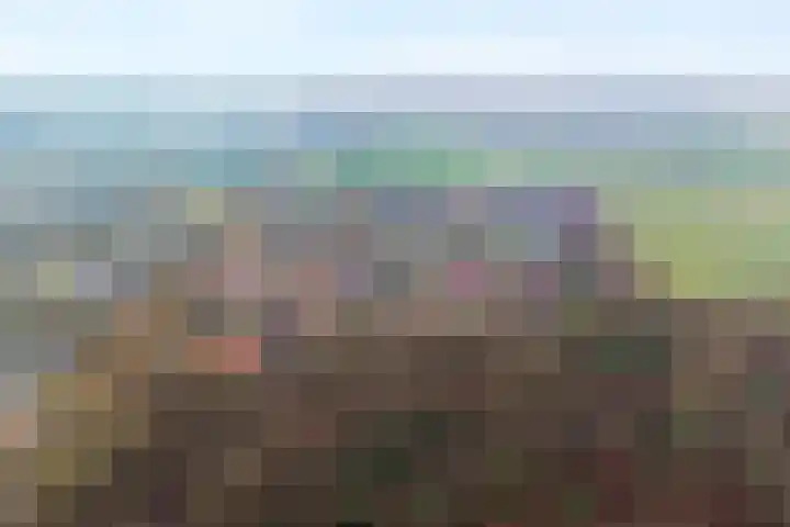 Boshoek 23 Vroomshoop thumbnail 57