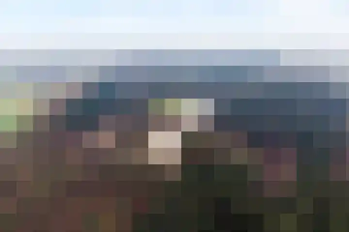 Boshoek 23 Vroomshoop thumbnail 58