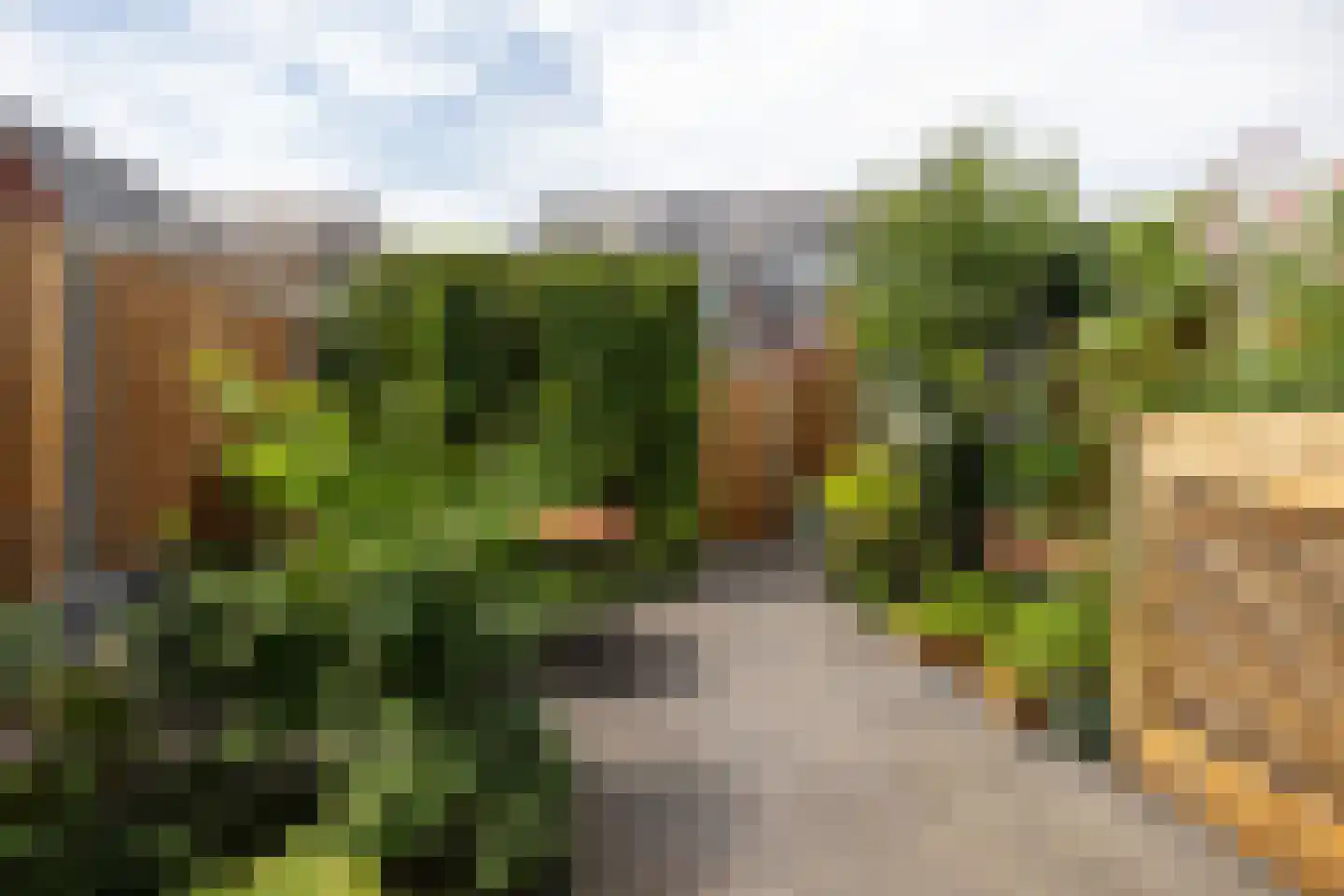 Boshoek 4 Achterveld thumbnail 26