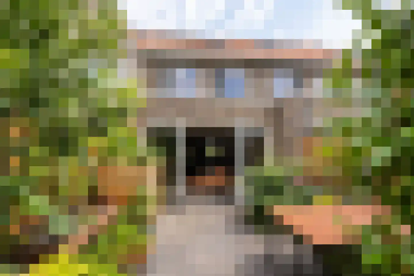 Boshoek 4 Achterveld thumbnail 27