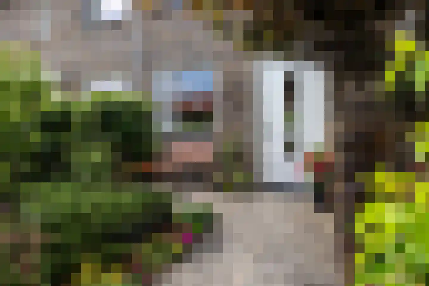 Boshoek 4 Achterveld thumbnail 31