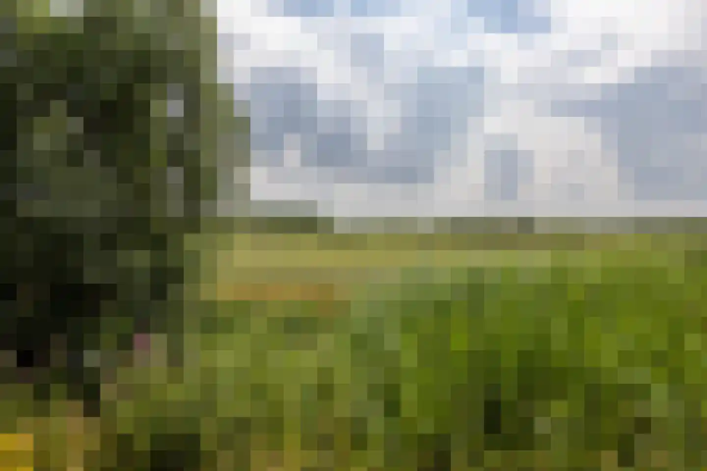Boshoek 4 Achterveld thumbnail 33