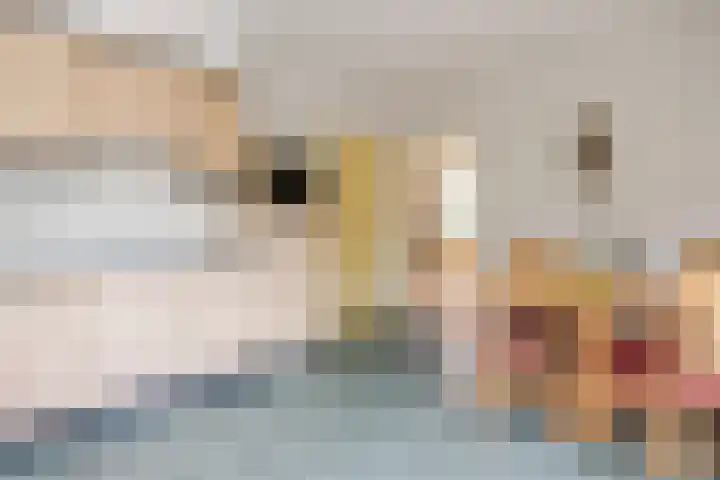 Boshoek 47 Vroomshoop thumbnail 12