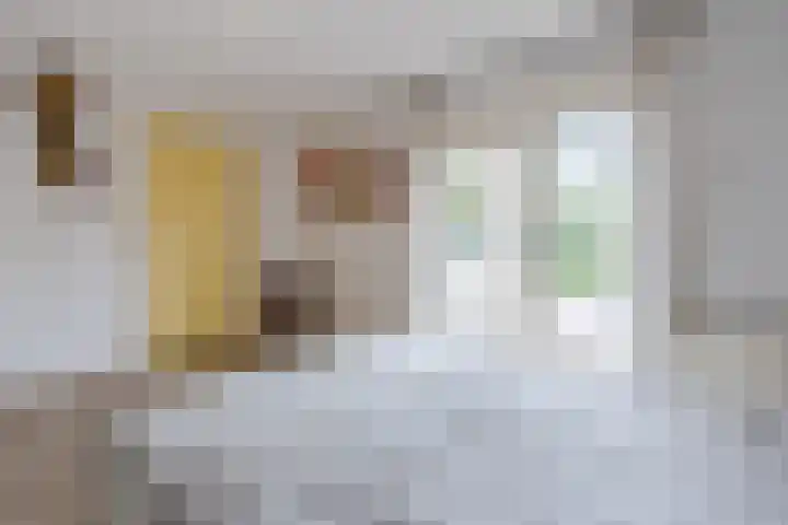 Boshoek 47 Vroomshoop thumbnail 14