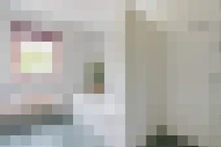 Boshoek 47 Vroomshoop thumbnail 15