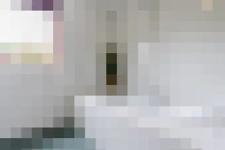 Boshoek 47 Vroomshoop thumbnail 16
