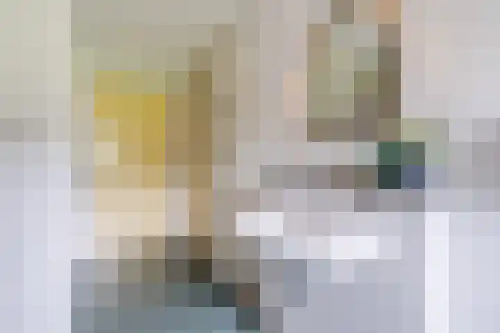 Boshoek 47 Vroomshoop thumbnail 17