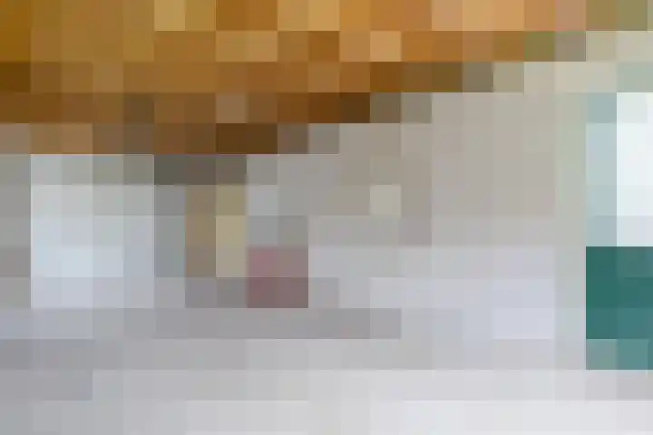 Boshoek 47 Vroomshoop thumbnail 19