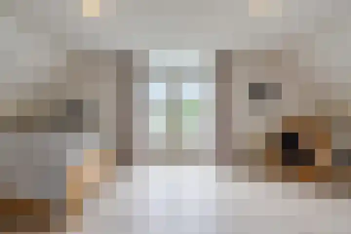 Boshoek 47 Vroomshoop thumbnail 21