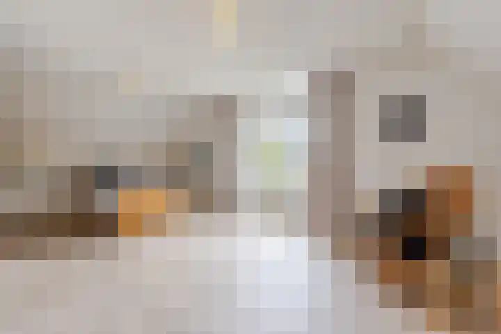Boshoek 47 Vroomshoop thumbnail 22