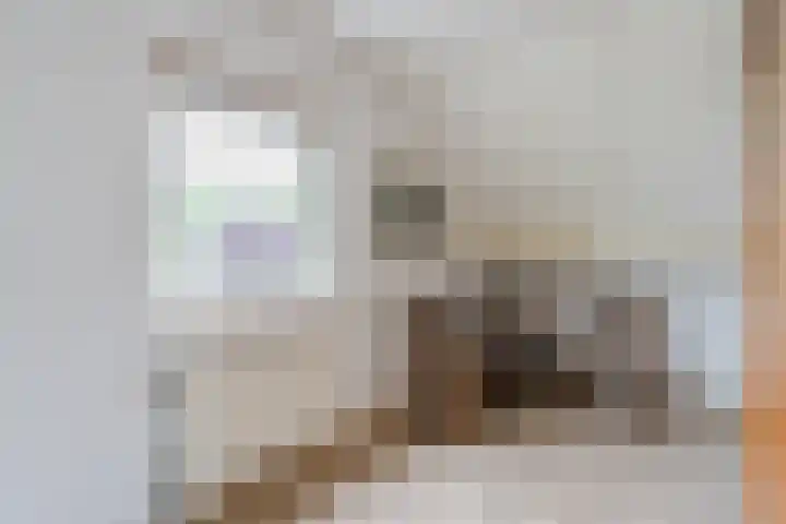 Boshoek 47 Vroomshoop thumbnail 25