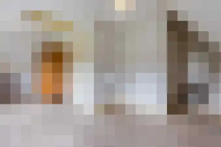 Boshoek 47 Vroomshoop thumbnail 26