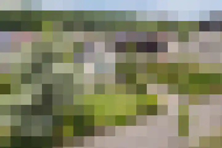 Boshoek 47 Vroomshoop thumbnail 29