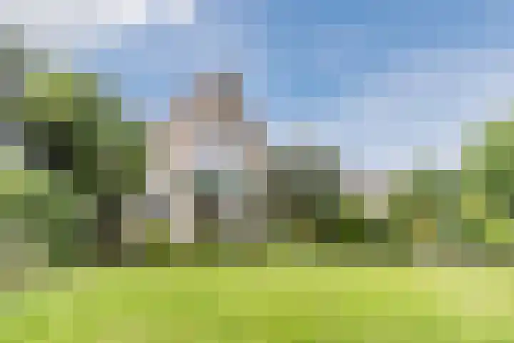 Boshoek 47 Vroomshoop thumbnail 30