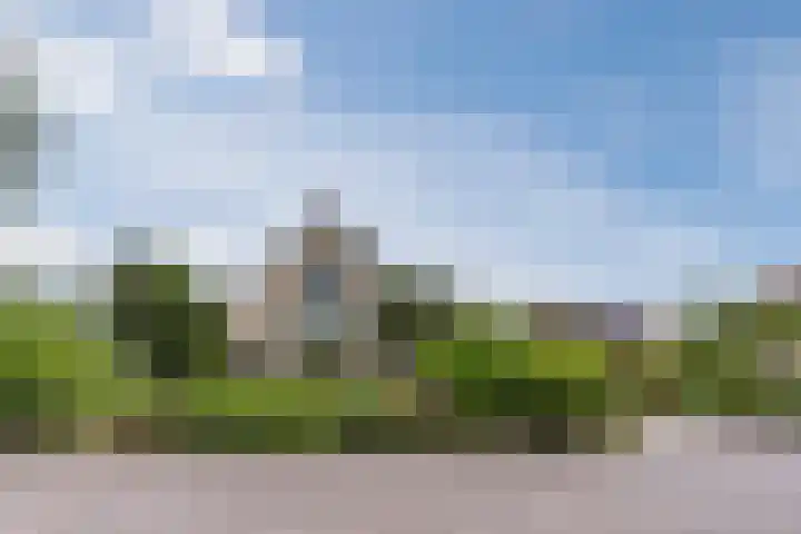 Boshoek 47 Vroomshoop thumbnail 31
