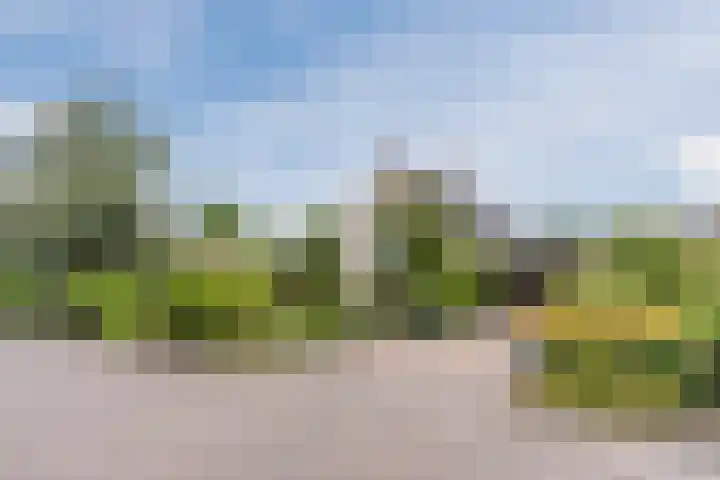 Boshoek 47 Vroomshoop thumbnail 32