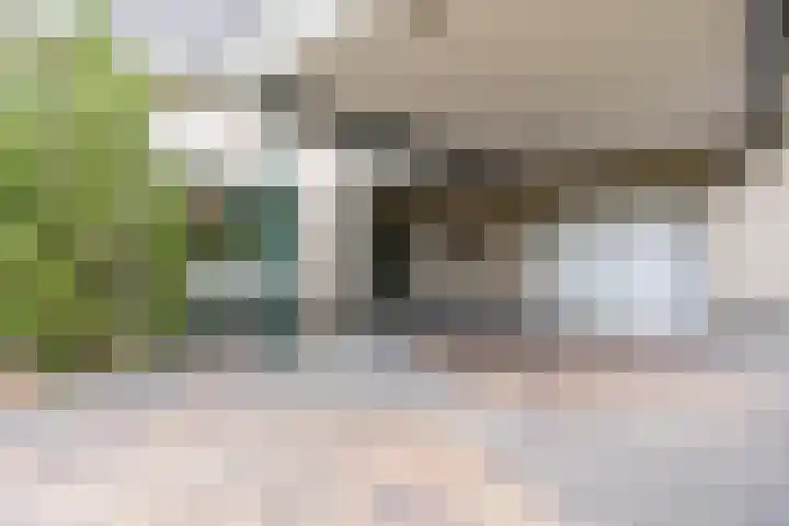 Boshoek 47 Vroomshoop thumbnail 34