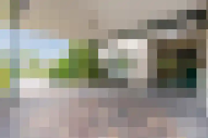 Boshoek 47 Vroomshoop thumbnail 35